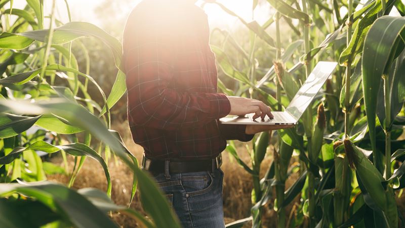 Farmer on Laptop